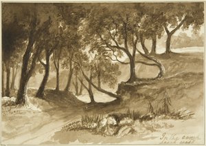 Vista nel Campo di Burwalls, Leigh Woods da John Reverend Eden