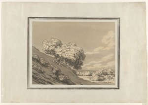 Spina