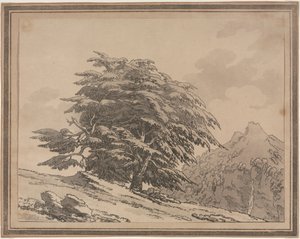 Delineazioni del carattere generale, ramificazioni e fogliame degli alberi della foresta: Cedro da John Robert Cozens