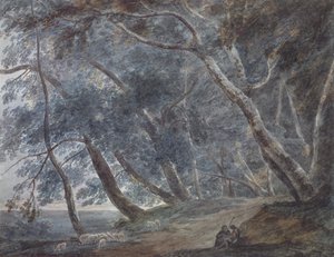 Galleria Di Sopra, Lago Albano da John Robert Cozens