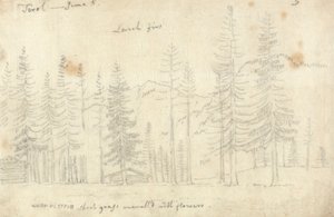 Nel Tirolo da John Robert Cozens