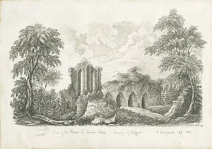 Abbazia di Croxden: disegno a penna e inchiostro