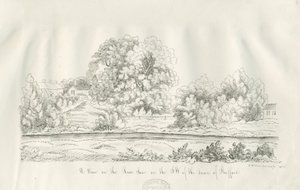 Stafford - Fiume Sow da John Robert Fernyhough