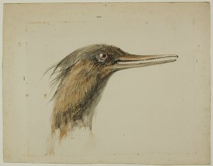 Smergo da John Ruskin
