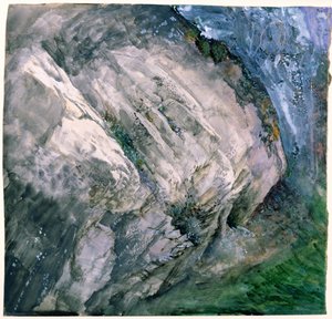 Rocce e vegetazione a Chamouni, 1854 da John Ruskin