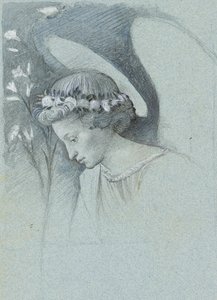 Studio della testa dell