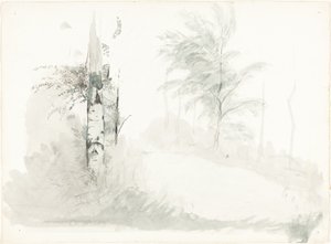 Studio di Albero da John Ruskin