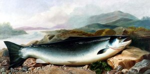 Natura morta di un salmone su una riva di un fiume in un paesaggio montuoso