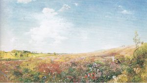 Paesaggio estivo da John Samuel Raven