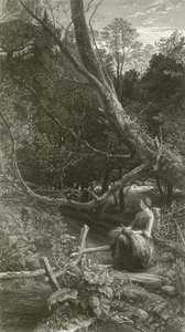 Crepuscolo nel bosco