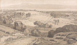 Holt Heath, vicino a Norwich