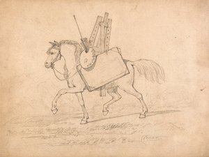 Cavallo carico di oggetti d