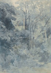 Nel parco di Rokeby da John Sell Cotman