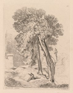 Liber Studiorum: Alberi a Norwich Thorp, Norfolk da John Sell Cotman