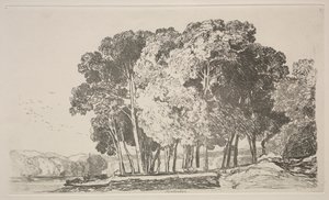 Liber Studiorum: Twickenham da John Sell Cotman