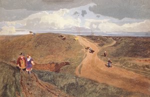Mousehold Heath, Norwich, c.1810 da John Sell Cotman