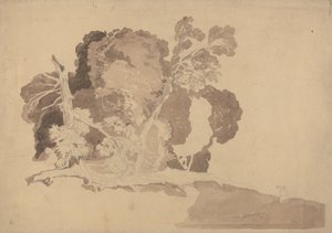 Studio degli alberi da John Sell Cotman