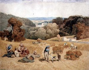 Il campo del raccolto