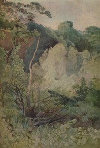 Alberi vicino al fiume Greta da John Sell Cotman