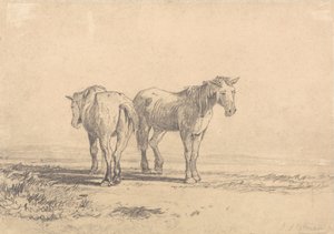 Due vecchi cavalli in piedi in un campo da John Sell Cotman