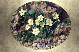Primule e Viole da John Sherrin