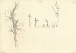 Alberi devastati (verso)