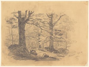 Foresta, Ramsau, Germania, 1871