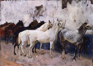 Cavalli a Palma, Maiorca, Spagna, 1908