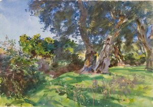 Ulivi, Corfù da John Singer Sargent