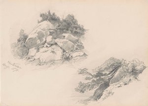 Rocce e cespugli, Hintersee, Germania, 1871 da John Singer Sargent