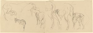 Studi per "Ferratura dei cavalli di cavalleria al fronte" (recto) da John Singer Sargent