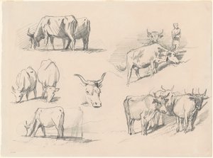 Studi di Bovini da John Singer Sargent