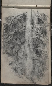 Studio di un albero, 1871-72 da John Singer Sargent