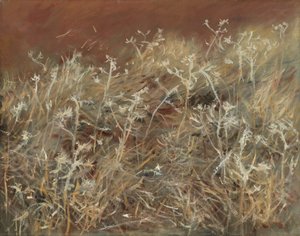 Cardi, 1885-89
