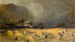 Campo di Raccolto