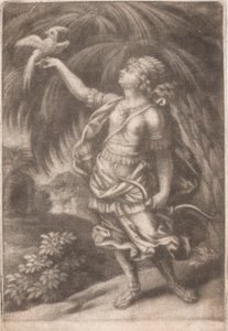 Un Falconiere da John Smith