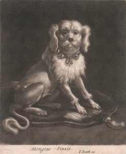 Un Piccolo Cane con un Collare con Campanelli da John Smith