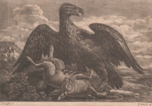 Aquila e lepre da John Smith