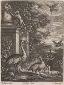 Gli Uccelli del Re da John Smith