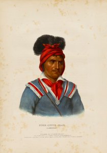 Foke-luste-ajo, un Seminole da John T. Bowen