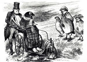 Un cartone animato che commenta la sospensione della caccia alla pernice per consentire il ripopolamento. Illustrato da John Tenniel (1820-1914) un illustratore inglese, umorista grafico e vignettista politico da John Tenniel