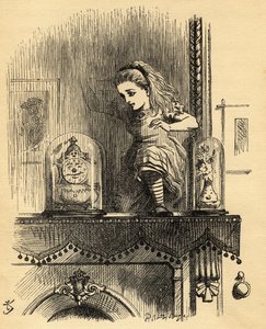 Alice nella casa dello specchio, illustrazione da 