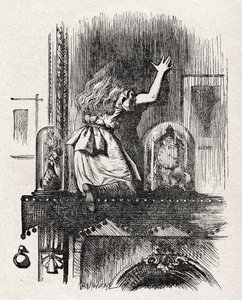 Attraverso lo specchio da John Tenniel