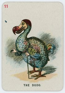 Il dodo da John Tenniel