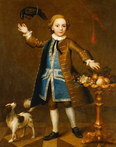 Ritratto di un ragazzo con un cappotto marrone e un pappagallo, 1741 da John Theodore Heins
