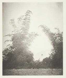Bambù a Baksa, Formosa da John Thomson