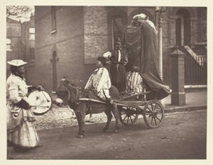 Effigi di novembre da John Thomson
