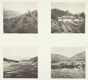 La pianta del tè; La pianta del tè; Le rapide di Yenping; Una piccola barca rapida da John Thomson