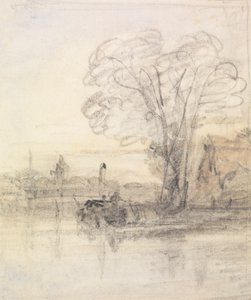 Alberi che sovrastano un fiume