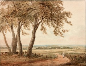 Vista da Polsden vicino a Bookham nel Surrey da John Varley